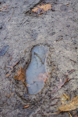 Footprints trap water and cause mini mud pits which are difficult and time consuming to repair.