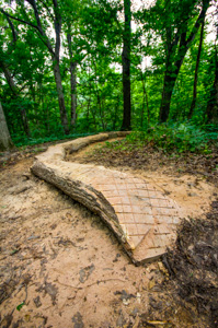 40' log ride on the upper South Loop.