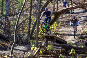 Typical feature on the Jump Line trail at Sunderbruch.