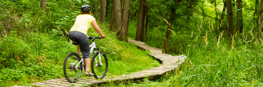 Boardwalk on the Tarmac trail.